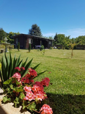 Cabaña campo Valdivia